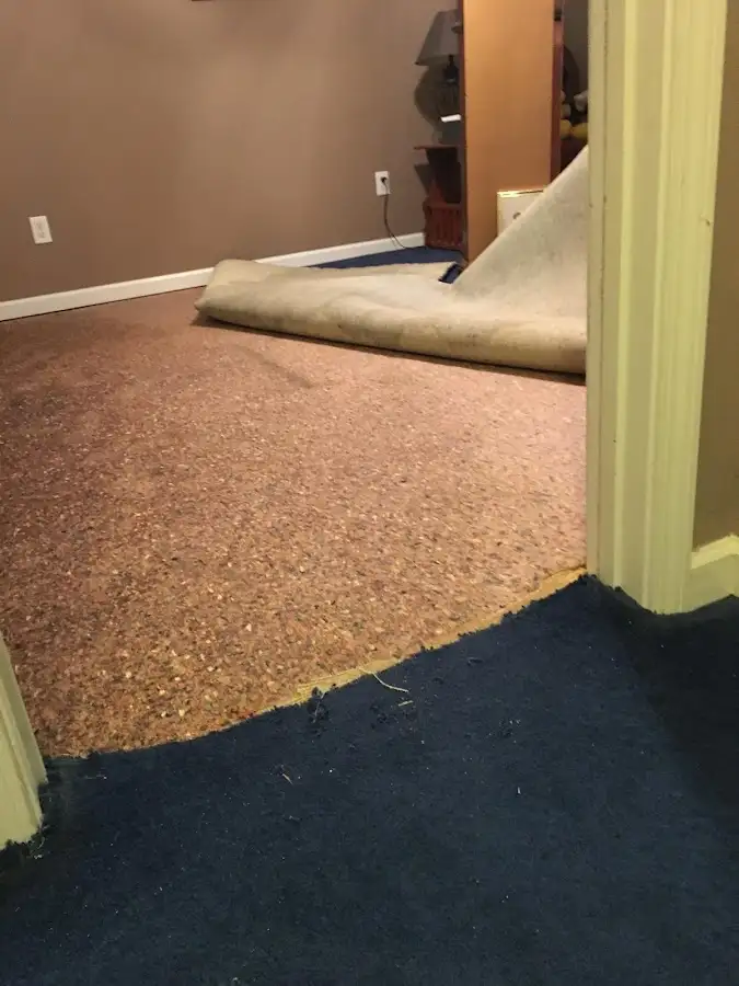 Carpet pad removal revealing water damage during Water Mitigation Services in East Milton
